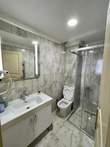 uma casa de banho com um WC, um lavatório e um chuveiro em Dizayn Residence em Istambul
