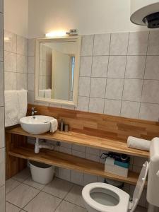 a bathroom with a sink and a toilet and a mirror at Apartment D2 4U in Zadar
