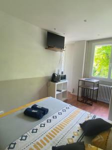 um quarto com uma cama e uma televisão na parede em Studio 96 - Wi fi fibre - Résidence Beauséjour - Proche centre ville em Troyes