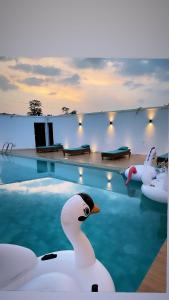 a pool with two swans in the water at Nandy's home in Odza II