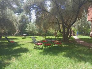 a group of chairs and a table in the grass at Maison Touria in Ouzoud