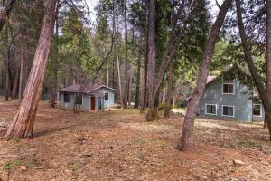 ein Haus mitten im Wald in der Unterkunft Little House in the Big Woods in Forest Ranch