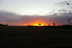 Fotografie z fotogalerie ubytování DOG FRIENDLY little bungalow with patio & private driveway v destinaci Kessingland + 26 fotografií