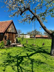 Zahrada ubytování Apartmán U včelína + 13 fotografií