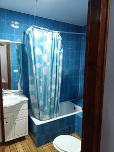 Baño azul con cortina de ducha y aseo en Restaurante & Hostal El Volante, en Moraleja