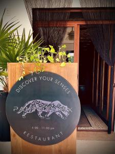 Fotografie z fotogalerie ubytování Hotel Casa HX - Adults Only v destinaci Ostrov Holbox