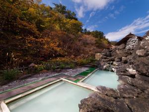 Φυσικό τοπίο κοντά σε αυτό το ryokan