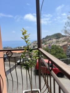 una pianta in un vaso seduta su un balcone di Casa Lucia a Taormina