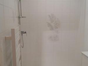 La salle de bains est pourvue d'une douche et d'une plante murale. dans l'établissement Studio Les Sables-d'Olonne, 1 pièce, 3 personnes - FR-1-331-202, à Les Sables-dʼOlonne