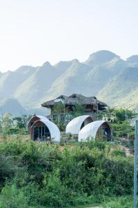 un grupo de tiendas de campaña en un campo con montañas en el fondo en Tớ Dày Du Già Village en Làng Cac