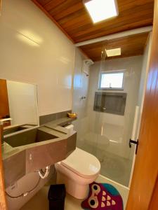 a bathroom with a toilet and a shower at Loft na Serra Catarinense in São Joaquim