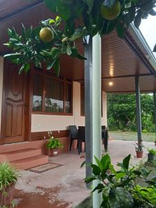 a porch of a house with an orange tree at Brisas del Río in Mindo