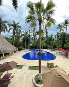 un complejo con una palmera y una piscina en Finca Hotel Guadalupe, en Santa Fe de Antioquia