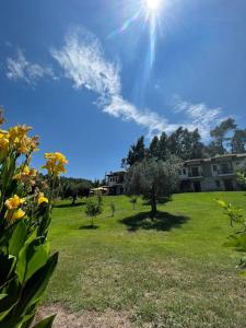Zahrada ubytování Paralia Homes cheerful 2 bedroom with pool, unit #1