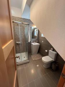 a small bathroom with a toilet and a shower at Paralia Homes cheerful 2 bedroom with pool, unit #1 in Kriopigi