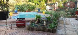 un cortile con piscina e giardino di The Cottage Unit a Bloemfontein
