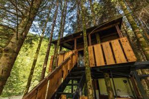 a tree house in the middle of the forest at Treehouse KUPARI Nacionalni park Risnjak in Čabar