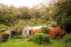 a small house in the middle of a garden at Spetts Cottage in Walhalla