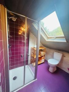 uma casa de banho no sótão com um WC e um chuveiro em Gite de charme en Bretagne 