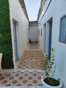 un corridoio di un edificio con una pianta in una pentola di استراحة a Al Maraghah