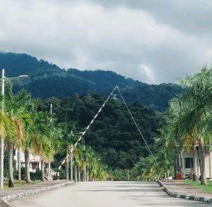 a rope bridge on a street with palm trees at GUESTHOUSE #1 SEMI Bungalow House in Kuah