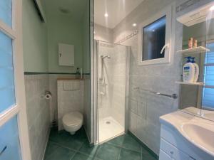 a bathroom with a shower and a toilet and a sink at Maison récente 6 pers., proche plage, jardin paisible, activités variées - FR-1-639-3 in Saint-Gildas-de-Rhuys +5 photos