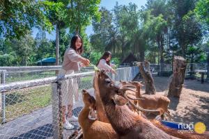 a woman feeding two deer at a zoo at Horizon Village & Resort in Doi Saket +83 photos