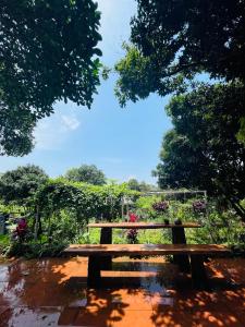 un banco de madera sentado en medio de un jardín en 6Senses Garden Homestay, en Hòa Bình