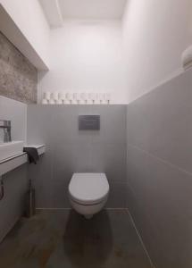 a white bathroom with a toilet and a sink at Buda-city house in Trnávka