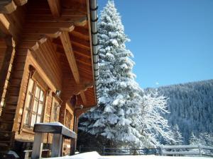a snow covered christmas tree on the side of a cabin at Chalet bois 9 pers, Grand confort, près pistes et commerces, Wi-Fi, Equipé, Parking, Non fumeur - FR-1-733-18 in Crest-Voland
