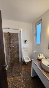 a bathroom with a shower and a toilet and a sink at Casa cu Flori in Buşteni