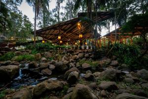 a river in front of a building with a bridge at Tamborine Mountain Glades in Mount Tamborine
