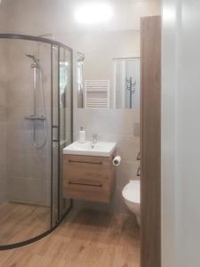 W łazience znajduje się prysznic, umywalka i toaleta. w obiekcie Leśne Apartamenty w mieście Szczytno