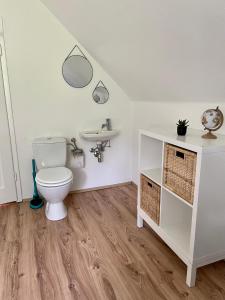 a bathroom with a toilet and a sink at Lendorfer Cottage in Feldkirchen in Kärnten