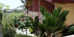 Fotografie z fotogalerie ubytování Hôtel Alizé Plage v destinaci Baguida