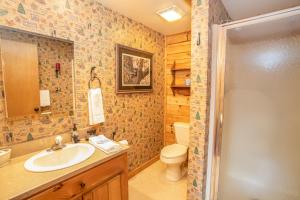 une salle de bain avec un lavabo, des toilettes et une douche dans l'établissement Sugar Bear, à Sugar Mountain 30 autres photos