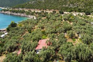 an aerial view of a house with trees and water at Astros Beach house within an olive farm in Astros