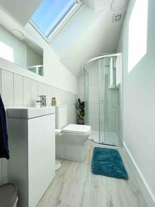 a bathroom with a shower and a toilet and a sink at The Loft Curracloe, on Wexfords Coastal Scenic Route in Wexford