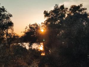 Afbeelding uit fotogalerij van Coritos apartments 2 Corfu in Kontokali