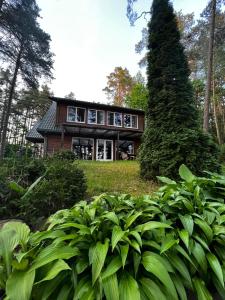una casa en medio de un bosque en Villa Green Alchemy, en Molėtai