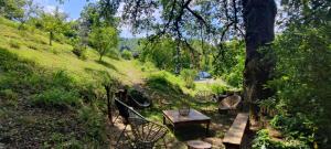 une table de pique-nique et des chaises sous un arbre sur une colline dans l'établissement Gîte familial de la Bastide du puech, à Cransac