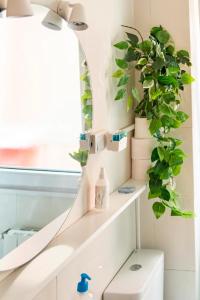 uma casa de banho com um espelho e uma planta numa prateleira em Apartamento Centro de Santander em Santander