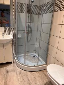 a shower in a bathroom with a toilet and a sink at White Garden in Oświęcim