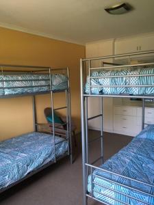 Zimmer mit 2 Etagenbetten in einem Zimmer in der Unterkunft Shell Shack - Port Rickaby 