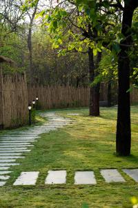 Saj In The Forest, Pench外面的花园