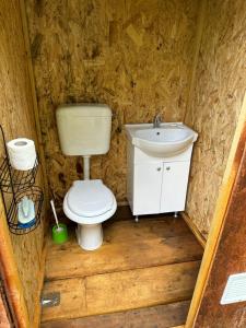 a bathroom with a toilet and a sink at La Balta in Vadul lui Carol II