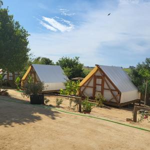 a couple of huts in a field with trees at Boho Glamping in Cádiz