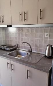 a kitchen counter with a sink and a tea kettle at CASA QUERCU in Sykia Chalkidikis