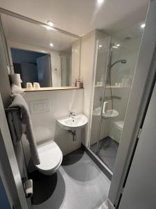 La salle de bains est pourvue de toilettes, d'un lavabo et d'une douche. dans l'établissement Fasthotel La Roche-sur-Yon, à Mouilleron-le-Captif