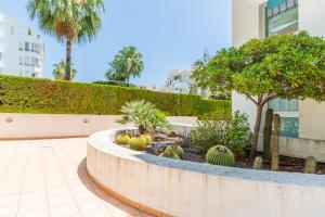 Vonkajšia záhrada v ubytovaní Penthouse center Altea